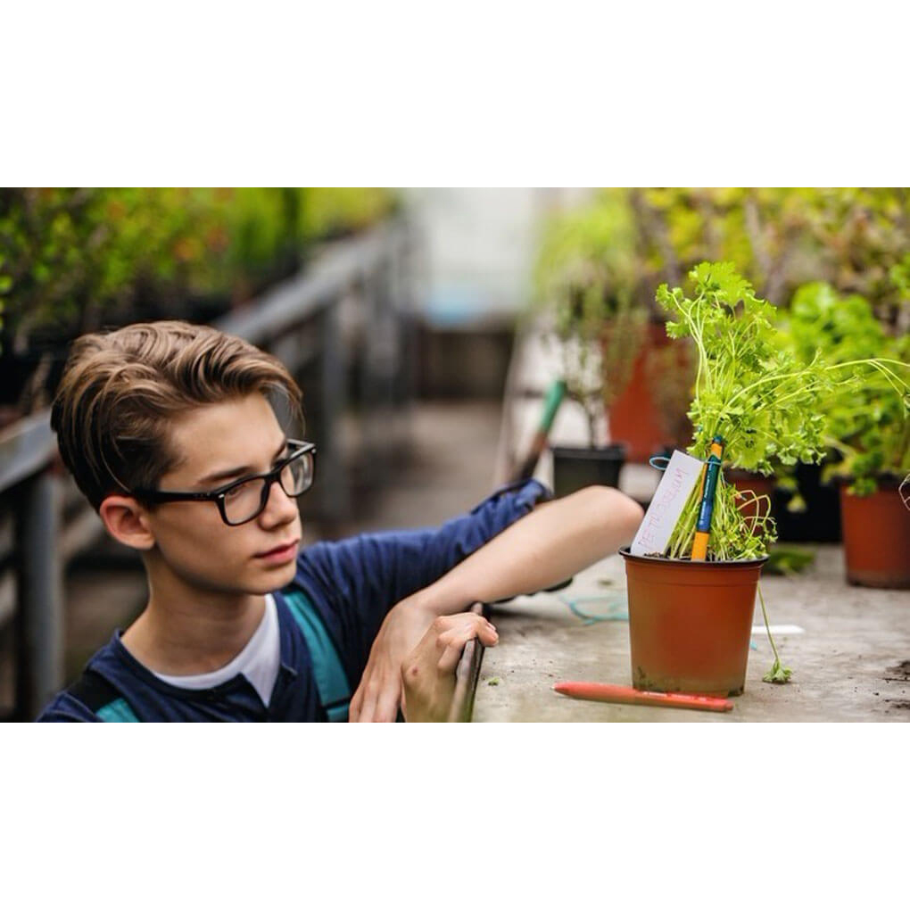 moodpic_STABILO_Performer__1020x600px