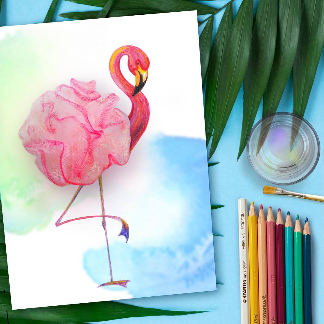 36277986_1862001060517122_5652691958179561472_o