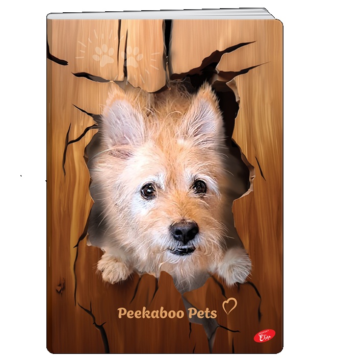 katalog Peekaboo 5